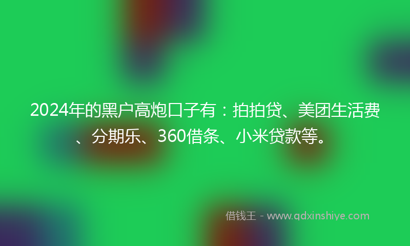 2024年的黑户高炮口子有：拍拍贷、美团生活费、分期乐、360借条、小米贷款等。