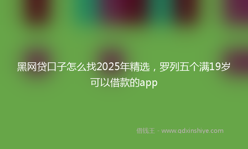 黑网贷口子怎么找2025年精选，罗列五个满19岁可以借款的app