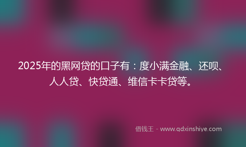 2025年的黑网贷的口子有：度小满金融、还呗、人人贷、快贷通、维信卡卡贷等。