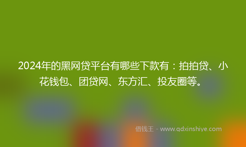 2024年的黑网贷平台有哪些下款有：拍拍贷、小花钱包、团贷网、东方汇、投友圈等。