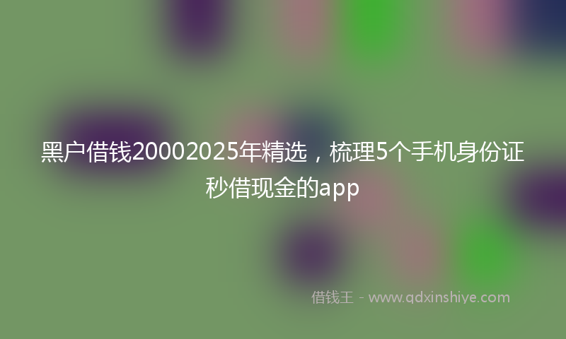 黑户借钱20002025年精选，梳理5个手机身份证秒借现金的app