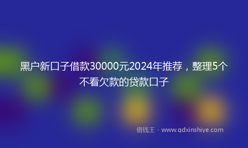 黑户新口子借款30000元2024年推荐，整理5个不看欠款的贷款口子