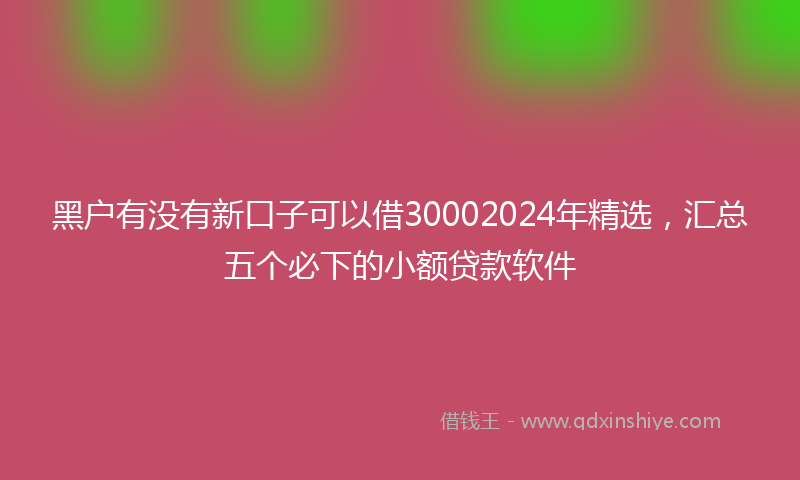 黑户有没有新口子可以借30002024年精选，汇总五个必下的小额贷款软件