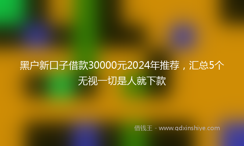 黑户新口子借款30000元2024年推荐，汇总5个无视一切是人就下款