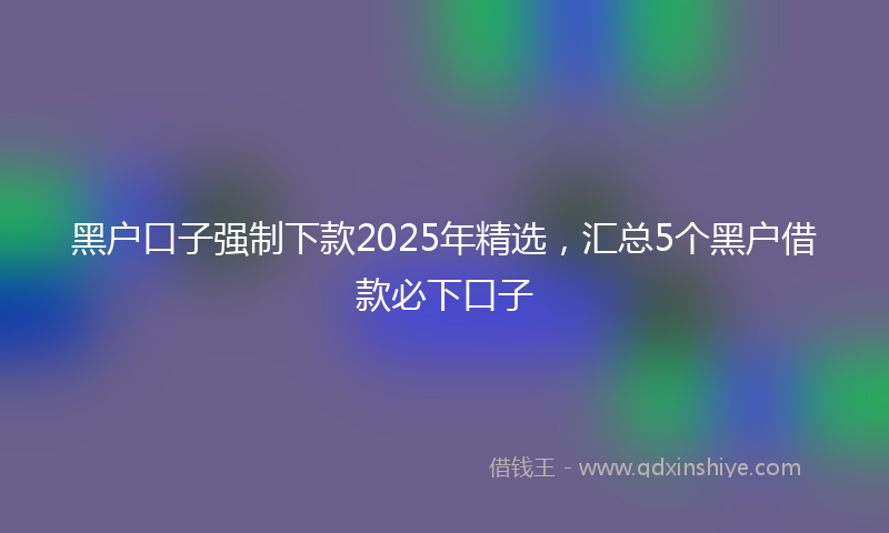 黑户口子强制下款2025年精选，汇总5个黑户借款必下口子