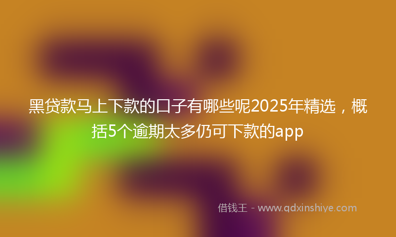 黑贷款马上下款的口子有哪些呢2025年精选，概括5个逾期太多仍可下款的app