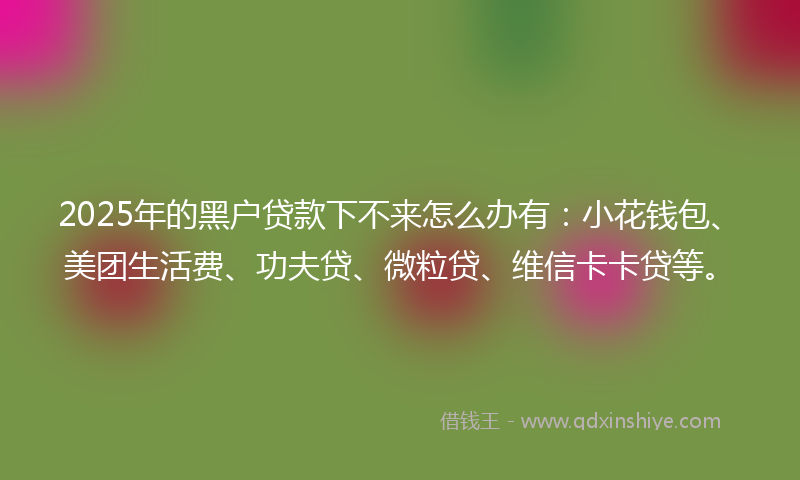 2025年的黑户贷款下不来怎么办有：小花钱包、美团生活费、功夫贷、微粒贷、维信卡卡贷等。
