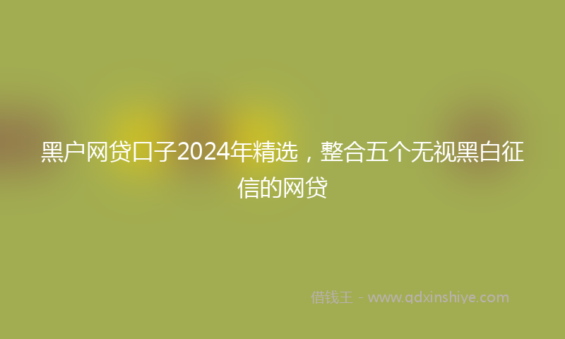黑户网贷口子2024年精选，整合五个无视黑白征信的网贷