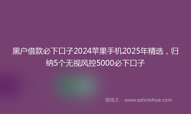 黑户借款必下口子2024苹果手机2025年精选，归纳5个无视风控5000必下口子