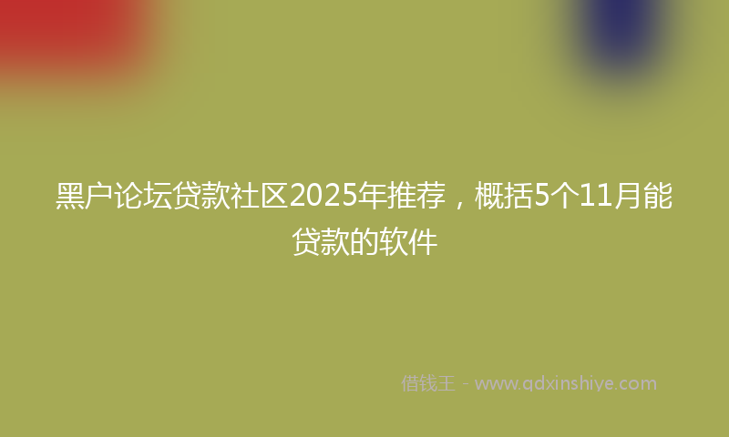 黑户论坛贷款社区2025年推荐，概括5个11月能贷款的软件