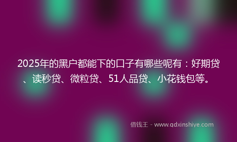 2025年的黑户都能下的口子有哪些呢有：好期贷、读秒贷、微粒贷、51人品贷、小花钱包等。