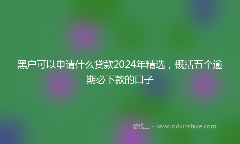 黑户可以申请什么贷款2024年精选，概括五个逾期必下款的口子