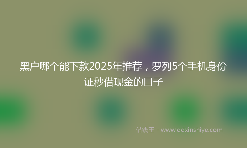 黑户哪个能下款2025年推荐，罗列5个手机身份证秒借现金的口子