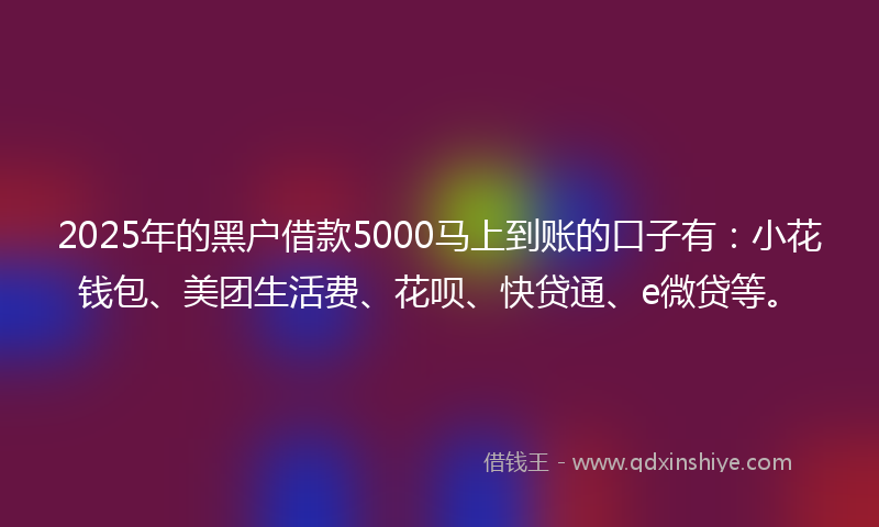 2025年的黑户借款5000马上到账的口子有：小花钱包、美团生活费、花呗、快贷通、e微贷等。