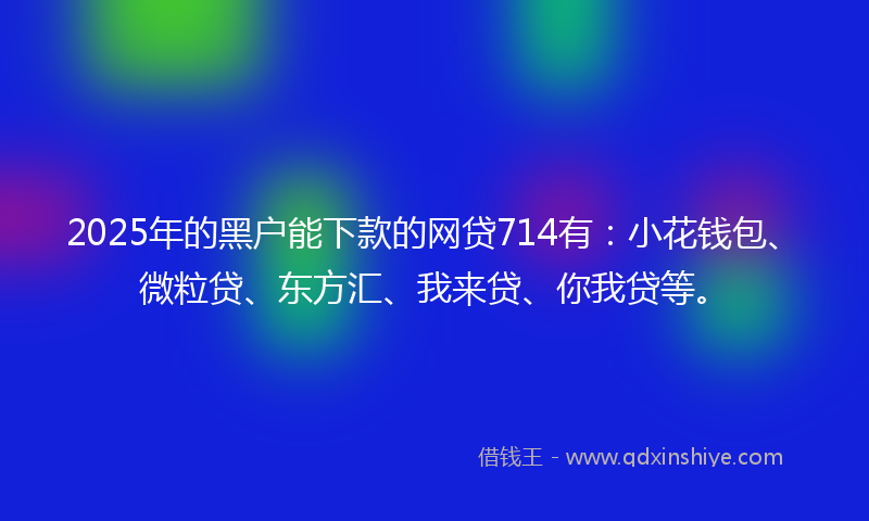 2025年的黑户能下款的网贷714有：小花钱包、微粒贷、东方汇、我来贷、你我贷等。