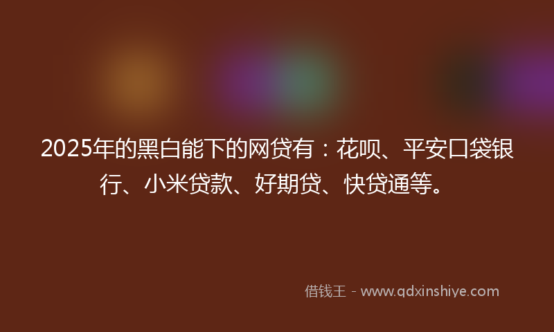 2025年的黑白能下的网贷有：花呗、平安口袋银行、小米贷款、好期贷、快贷通等。