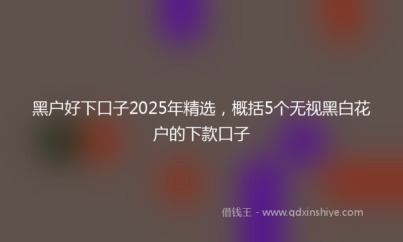 黑户好下口子2025年精选，概括5个无视黑白花户的下款口子