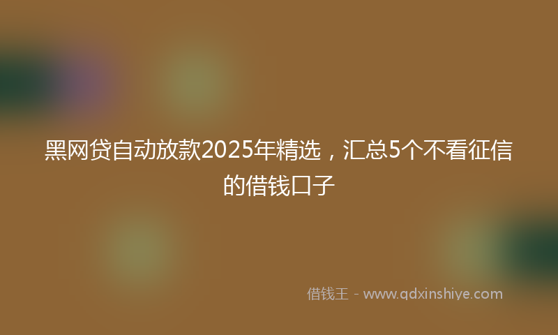 黑网贷自动放款2025年精选，汇总5个不看征信的借钱口子