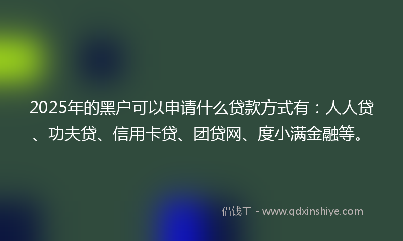 2025年的黑户可以申请什么贷款方式有：人人贷、功夫贷、信用卡贷、团贷网、度小满金融等。