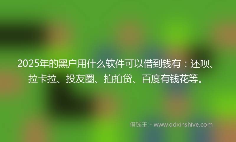 2025年的黑户用什么软件可以借到钱有：还呗、拉卡拉、投友圈、拍拍贷、百度有钱花等。