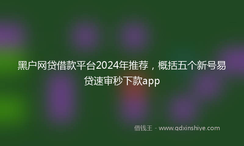 黑户网贷借款平台2024年推荐，概括五个新号易贷速审秒下款app