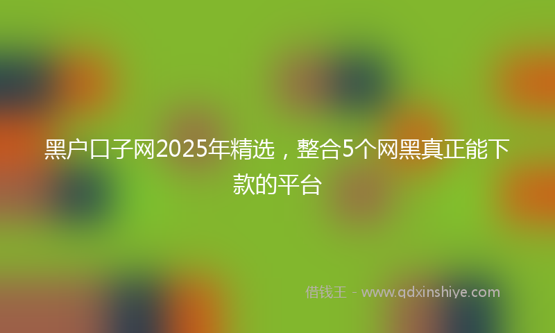 黑户口子网2025年精选，整合5个网黑真正能下款的平台