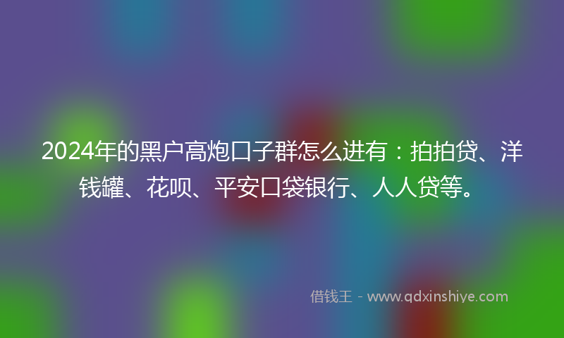 2024年的黑户高炮口子群怎么进有：拍拍贷、洋钱罐、花呗、平安口袋银行、人人贷等。