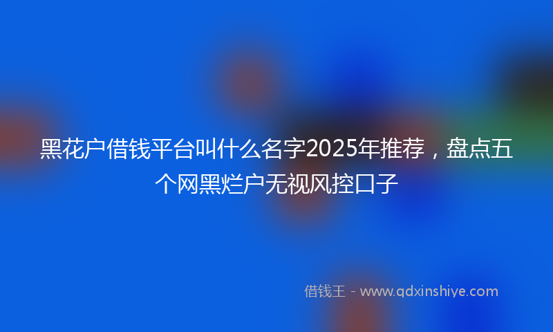 黑花户借钱平台叫什么名字2025年推荐，盘点五个网黑烂户无视风控口子