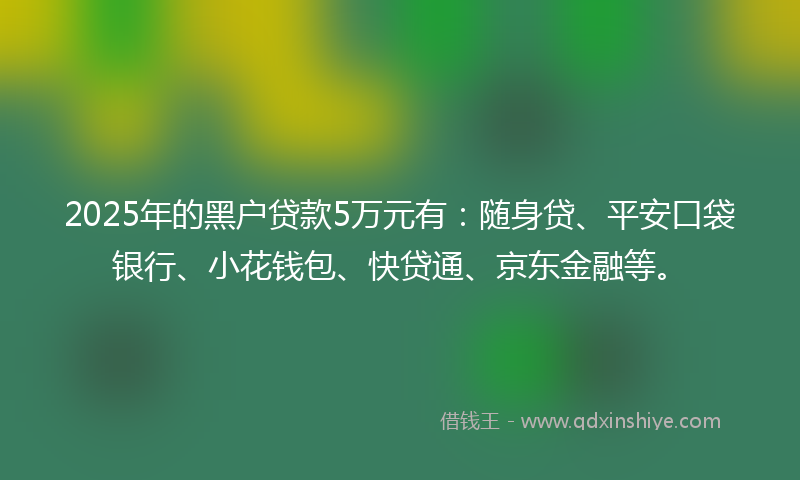 2025年的黑户贷款5万元有：随身贷、平安口袋银行、小花钱包、快贷通、京东金融等。