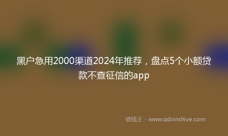 黑户急用2000渠道2024年推荐，盘点5个小额贷款不查征信的app