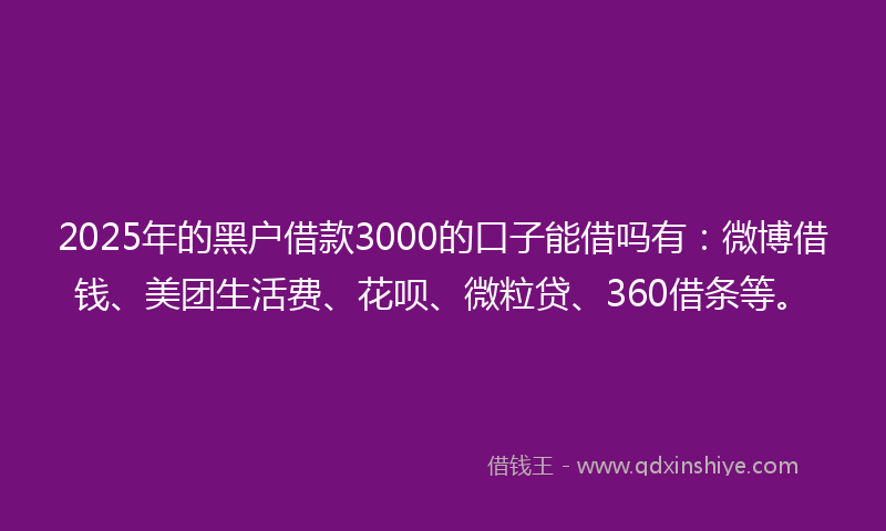 2025年的黑户借款3000的口子能借吗有：微博借钱、美团生活费、花呗、微粒贷、360借条等。