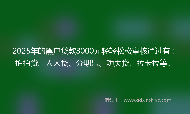 2025年的黑户贷款3000元轻轻松松审核通过有：拍拍贷、人人贷、分期乐、功夫贷、拉卡拉等。