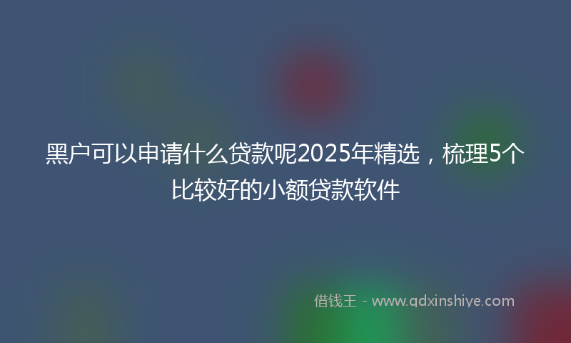 黑户可以申请什么贷款呢2025年精选，梳理5个比较好的小额贷款软件