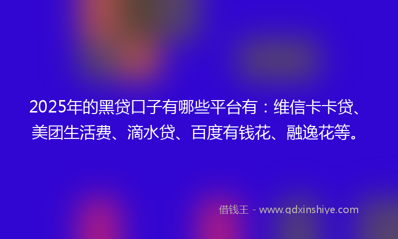 2025年的黑贷口子有哪些平台有：维信卡卡贷、美团生活费、滴水贷、百度有钱花、融逸花等。
