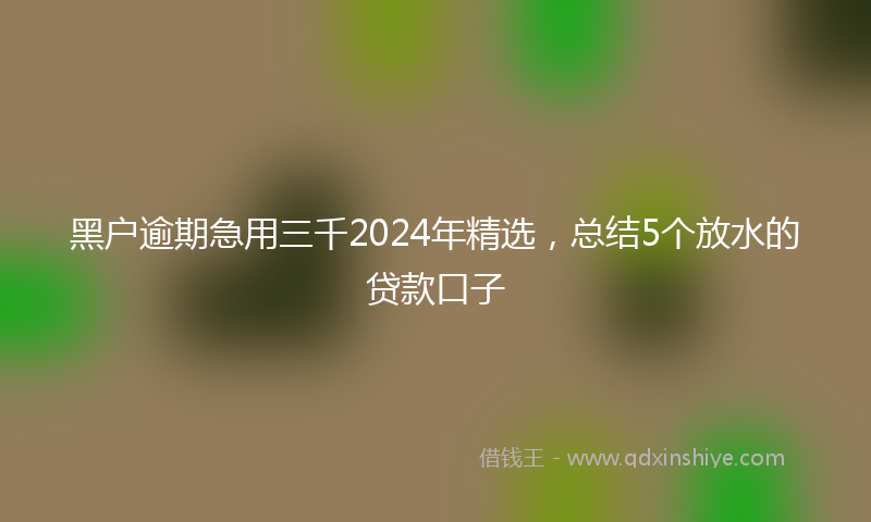 黑户逾期急用三千2024年精选，总结5个放水的贷款口子