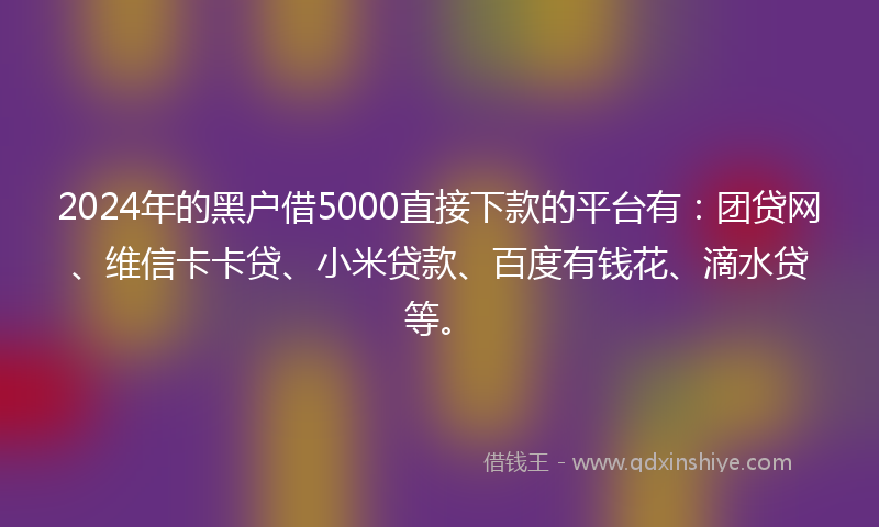 2024年的黑户借5000直接下款的平台有：团贷网、维信卡卡贷、小米贷款、百度有钱花、滴水贷等。
