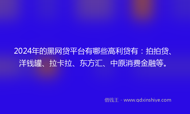 2024年的黑网贷平台有哪些高利贷有：拍拍贷、洋钱罐、拉卡拉、东方汇、中原消费金融等。