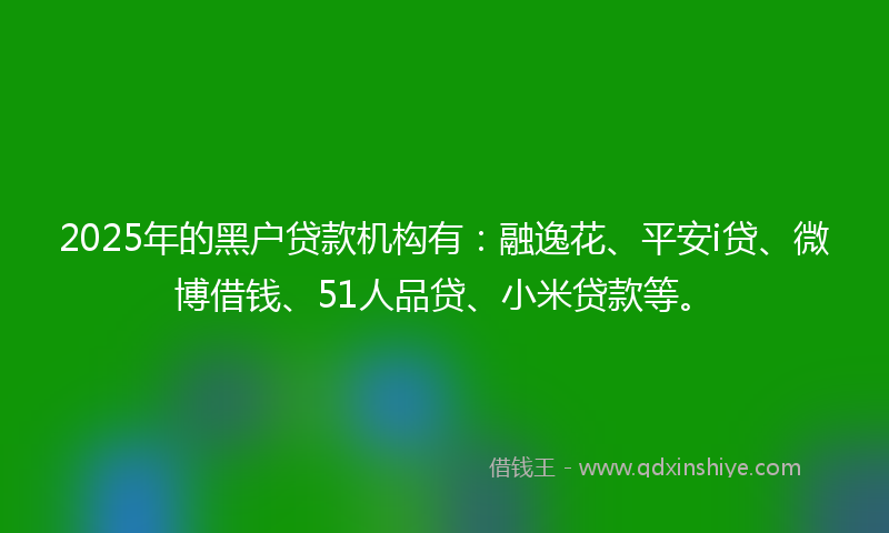 2025年的黑户贷款机构有：融逸花、平安i贷、微博借钱、51人品贷、小米贷款等。