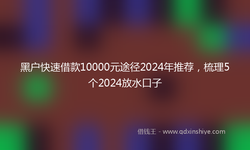 黑户快速借款10000元途径2024年推荐，梳理5个2024放水口子