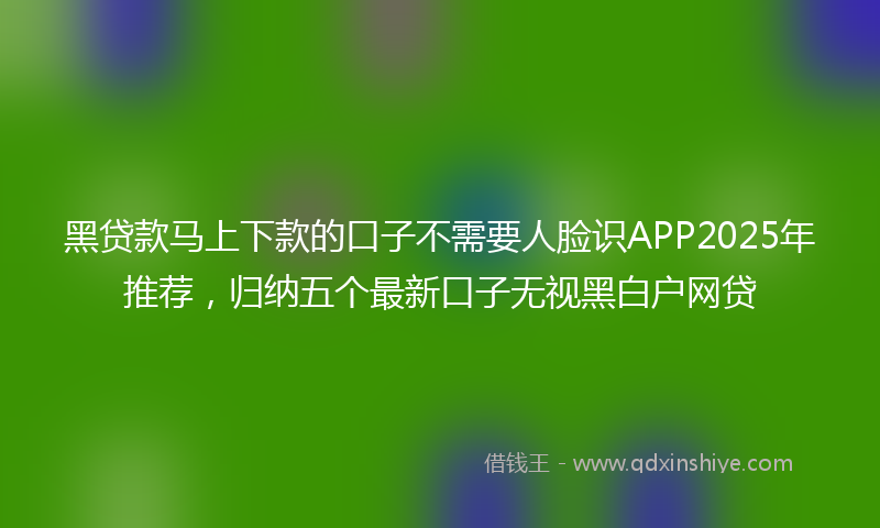 黑贷款马上下款的口子不需要人脸识APP2025年推荐，归纳五个最新口子无视黑白户网贷