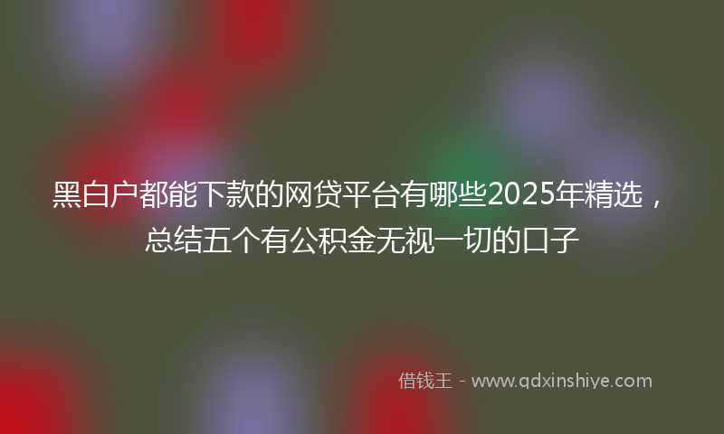 黑白户都能下款的网贷平台有哪些2025年精选，总结五个有公积金无视一切的口子