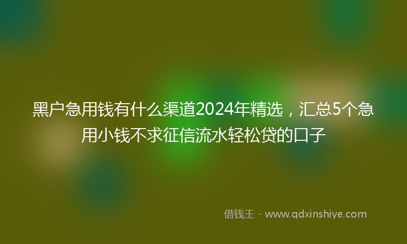 黑户急用钱有什么渠道2024年精选,汇总5个急用小钱不求征信流水轻松贷的口子