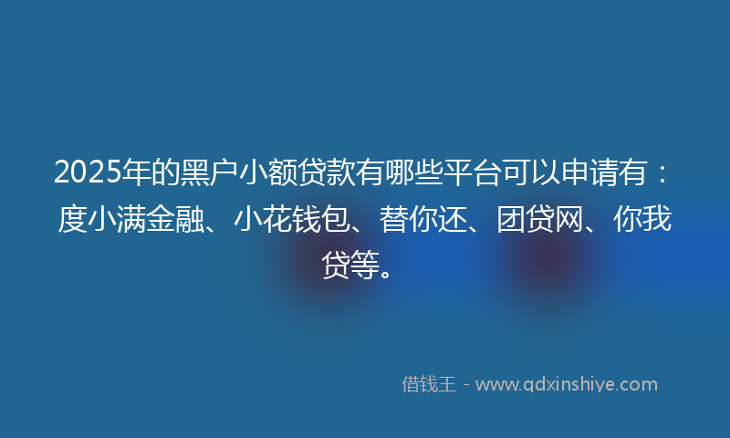 2025年的黑户小额贷款有哪些平台可以申请有：度小满金融、小花钱包、替你还、团贷网、你我贷等。