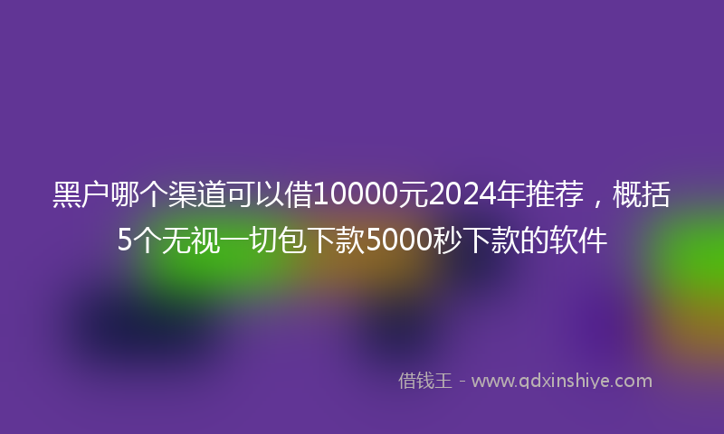 黑户哪个渠道可以借10000元2024年推荐，概括5个无视一切包下款5000秒下款的软件