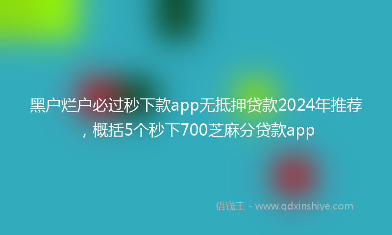黑户烂户必过秒下款app无抵押贷款2024年推荐，概括5个秒下700芝麻分贷款app