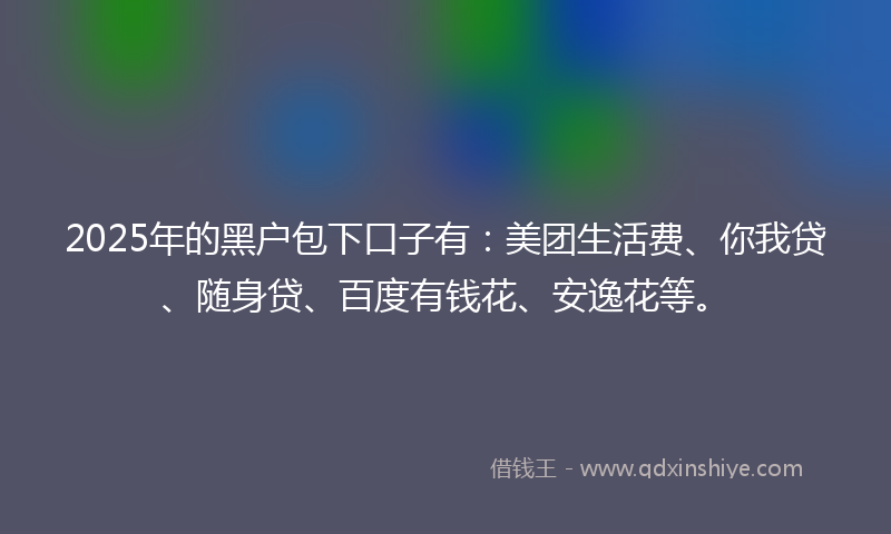 2025年的黑户包下口子有：美团生活费、你我贷、随身贷、百度有钱花、安逸花等。