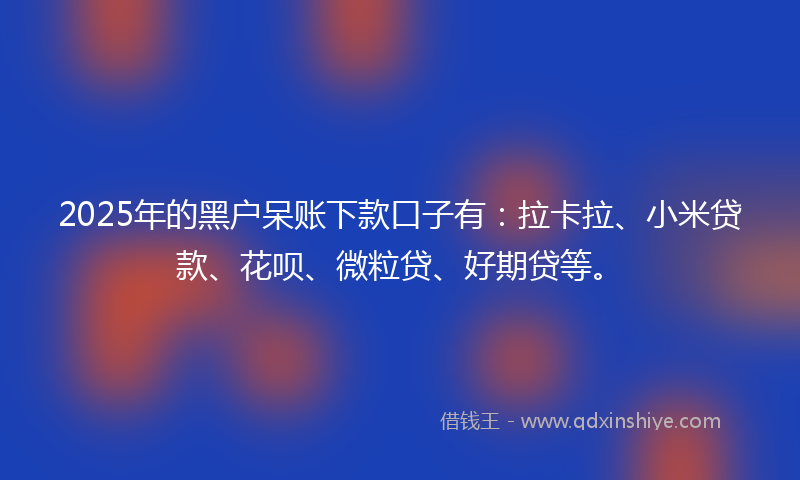 2025年的黑户呆账下款口子有：拉卡拉、小米贷款、花呗、微粒贷、好期贷等。