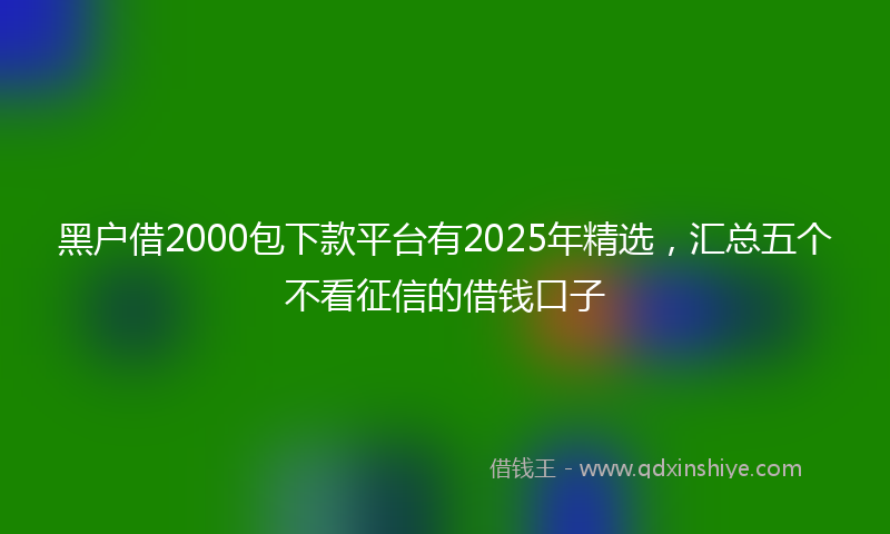 黑户借2000包下款平台有2025年精选，汇总五个不看征信的借钱口子