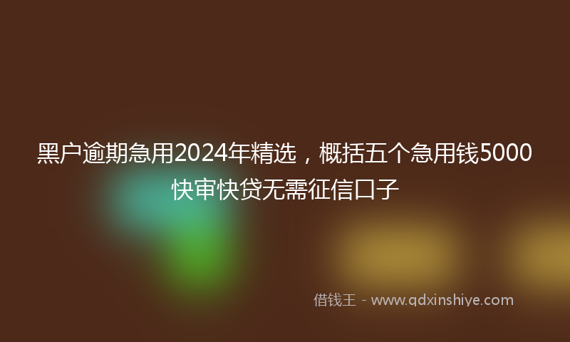 黑户逾期急用2024年精选，概括五个急用钱5000快审快贷无需征信口子