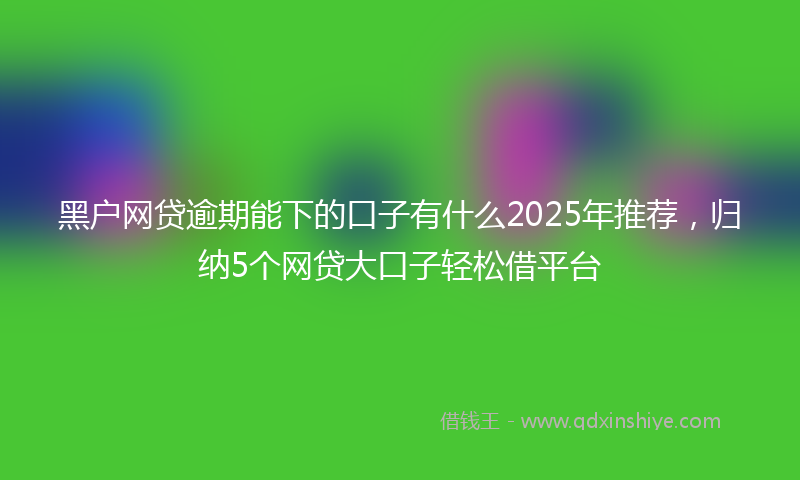 黑户网贷逾期能下的口子有什么2025年推荐，归纳5个网贷大口子轻松借平台